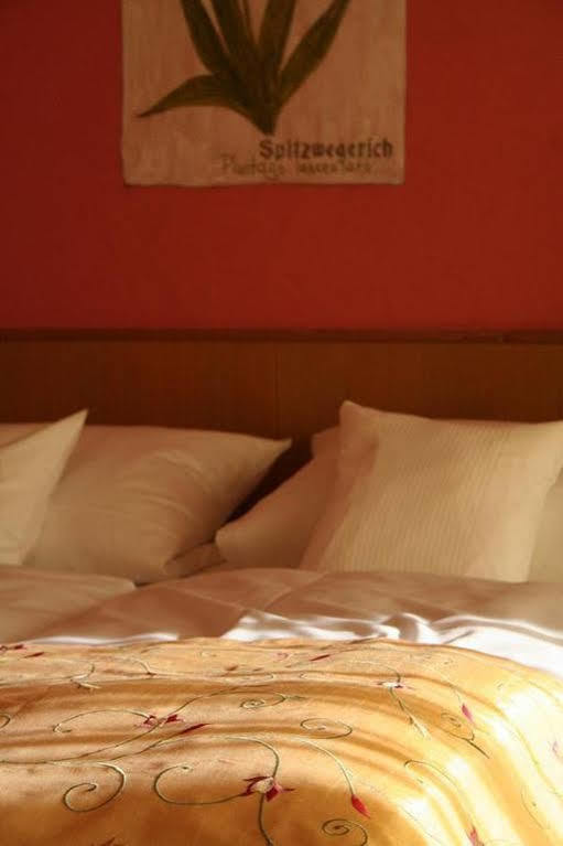 Wagners Hotel Schoenblick, C&C Hotels Und Vertrieb Gmbh 피흐텔베르크 외부 사진